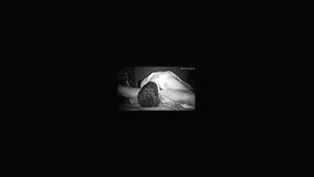 Indian wife biggest busy kissing2