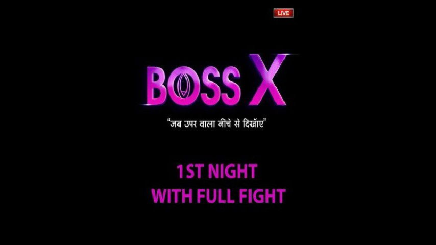 Boss X House Night Fight & Fun